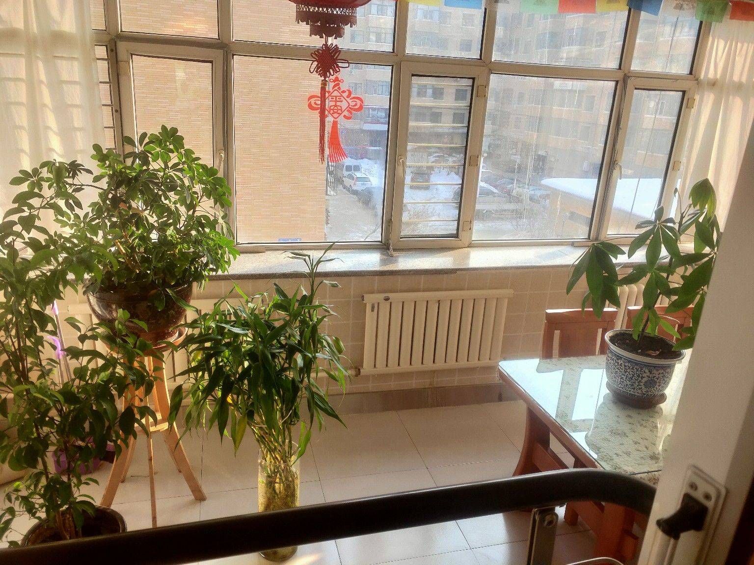 哈尔滨 香坊 | 海顺新苑_5