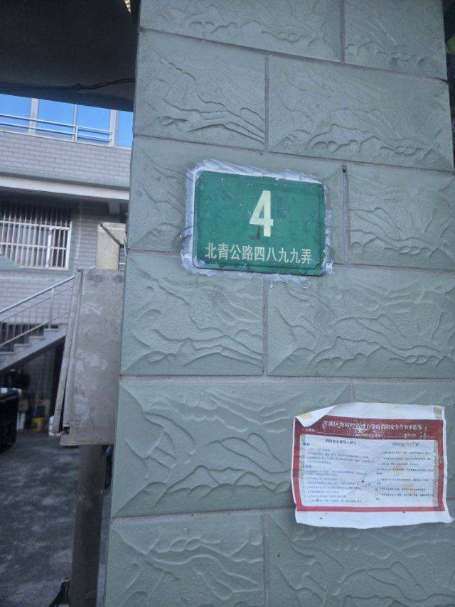 Shanghai Qingpu | 坚强村_1