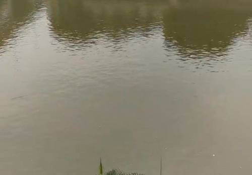 Baiyun 富力半岛花园