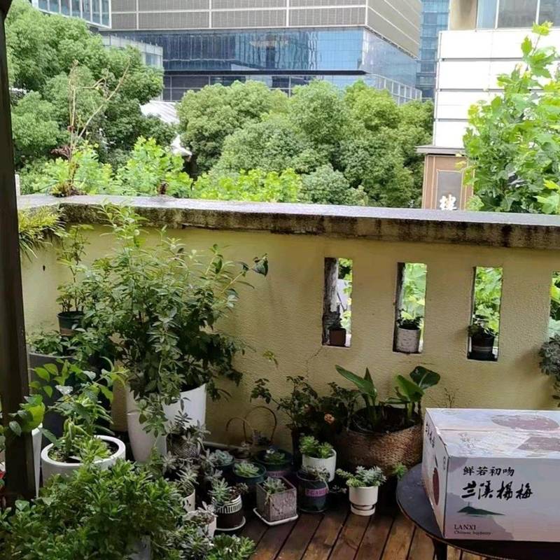 上海 静安 | 铜仁路90弄小区_7