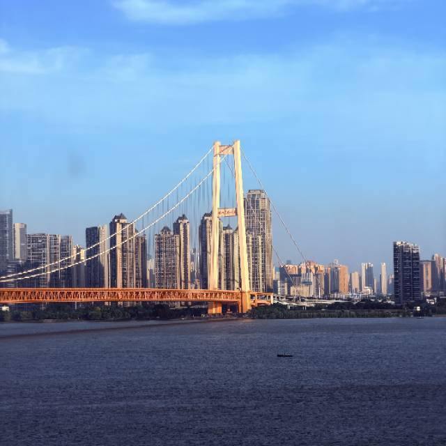 Wuhan Wuchang | 中大长江紫都六期_6