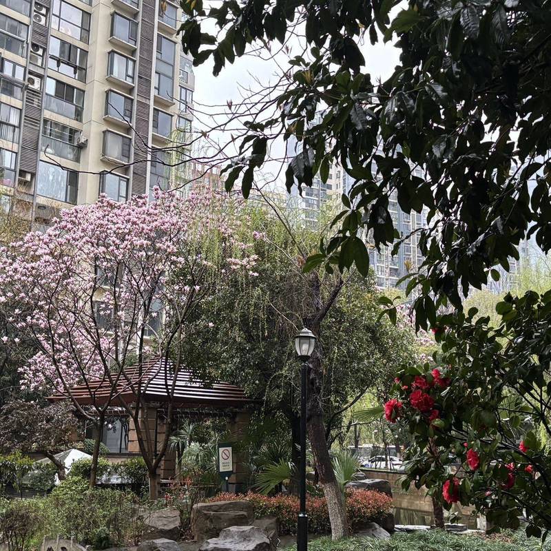 Wuhan Jianghan | 鑫城国际聚福苑_3