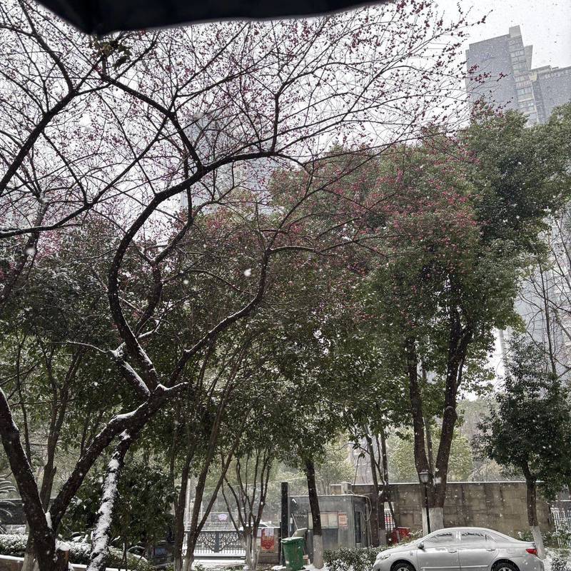 Wuhan Jianghan | 鑫城国际聚福苑_4