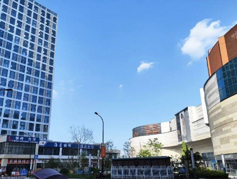 Hangzhou Linan | 宝龙旭辉城-6幢_8