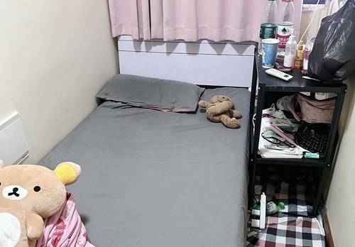 金水 银基王朝四期