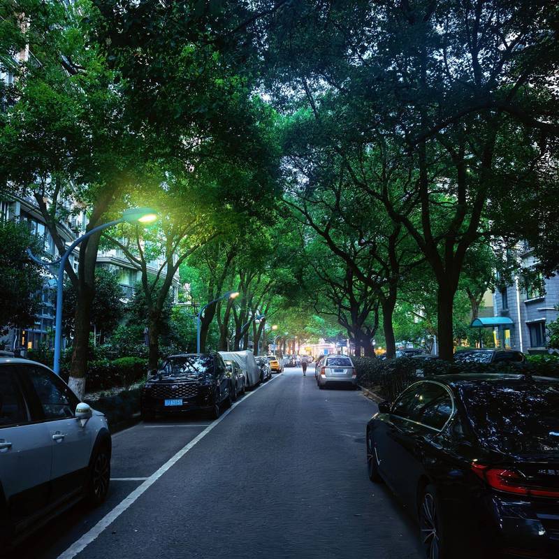 Shanghai Hongkou | 中虹花园_3