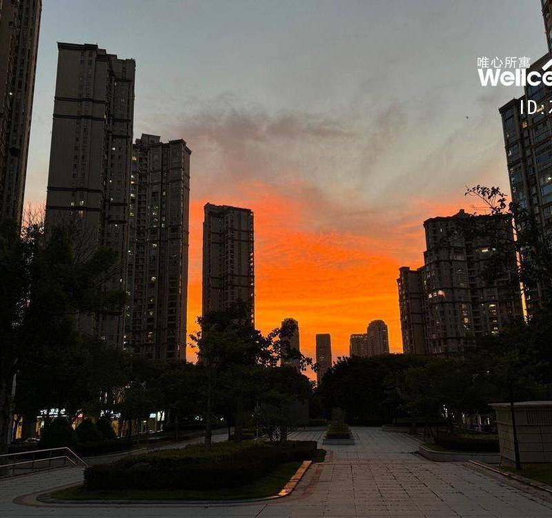 Xiamen Huli | 世茂湖滨首府B区-15号楼_4