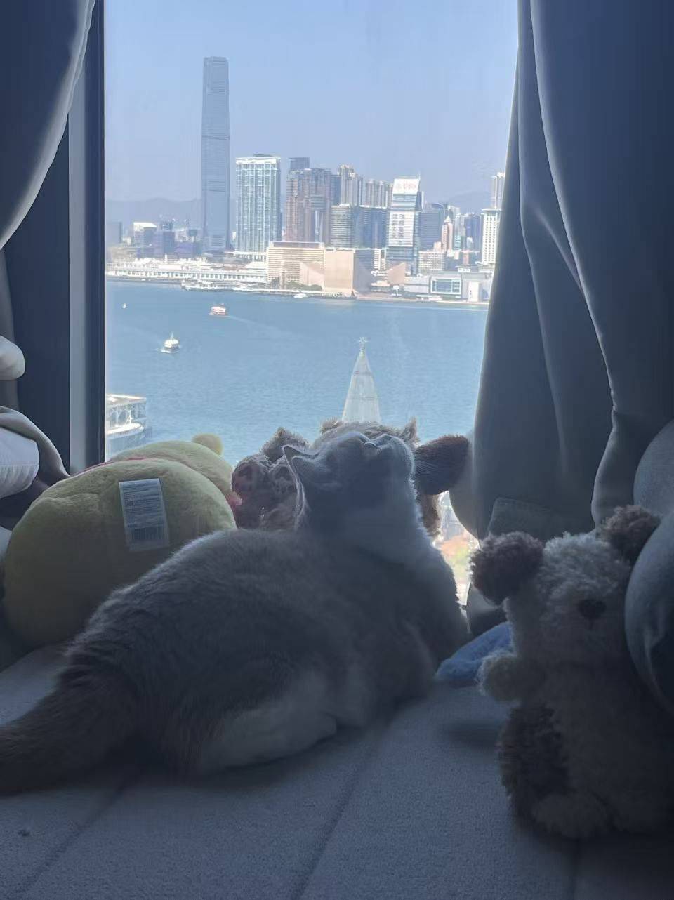 Hong Kong Island 尚汇