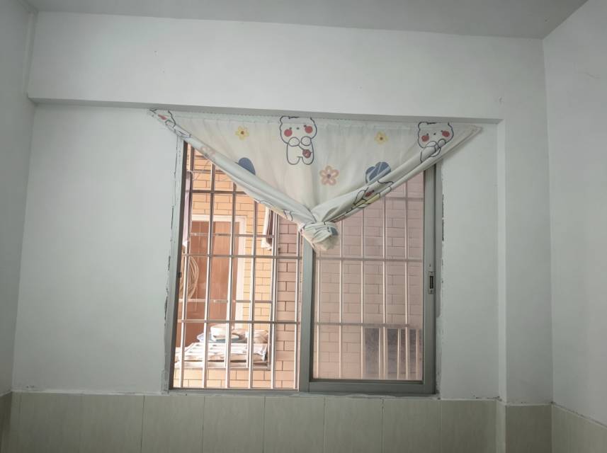 Foshan Shunde | 荷村村_5