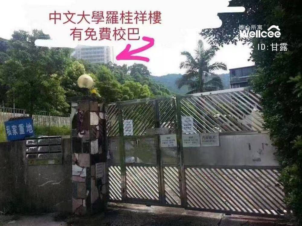 新界 樟树滩