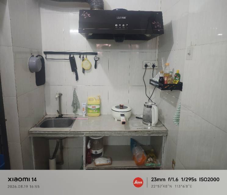 Foshan Shunde | 荷村村_4