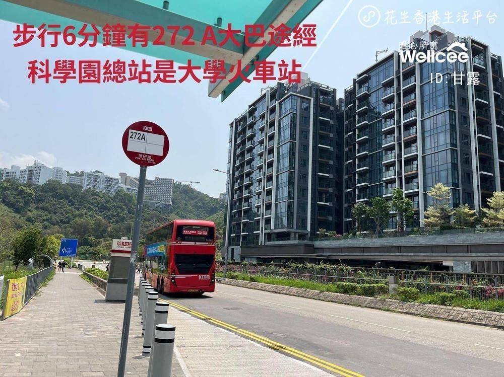 香港 新界 | 樟树滩_4
