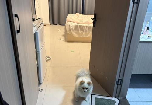Ouhai 温州雅遇公寓(娄桥)