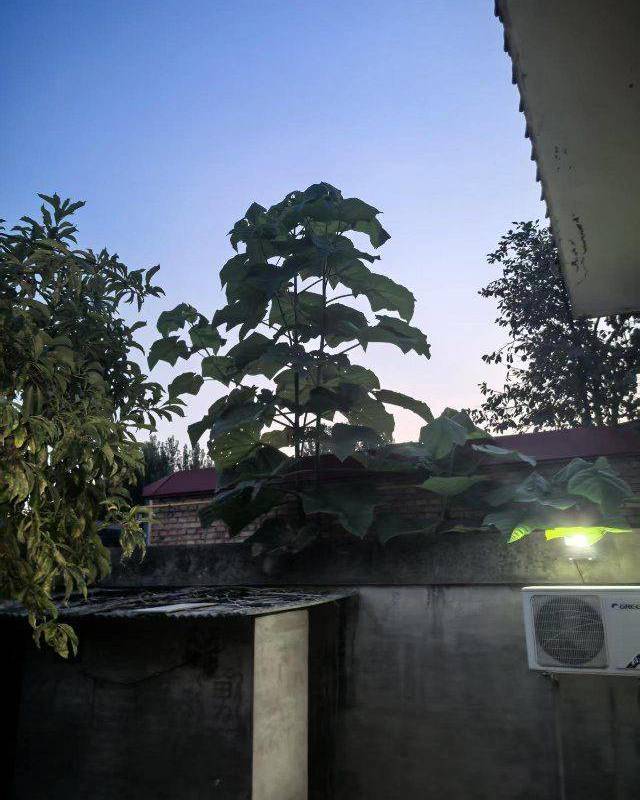 Baoding Zhuozhou City | 上念头村_8
