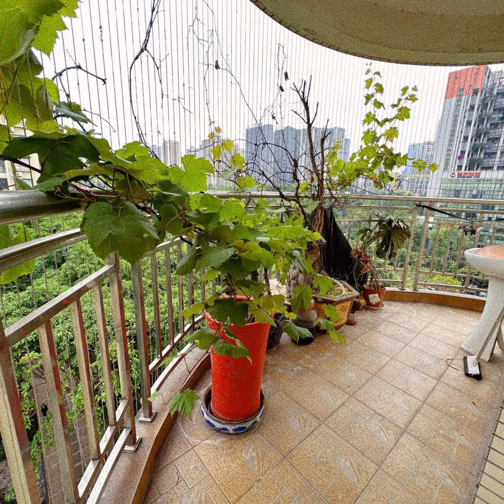 Liangjiang New Area 大众御湖苑