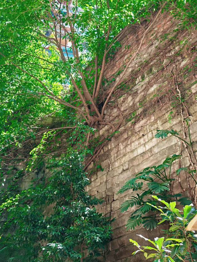 Liangjiang New Area 中瀚名苑