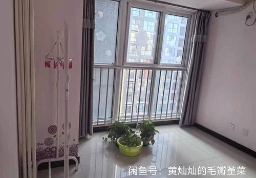 碑林 曼城国际-2号楼