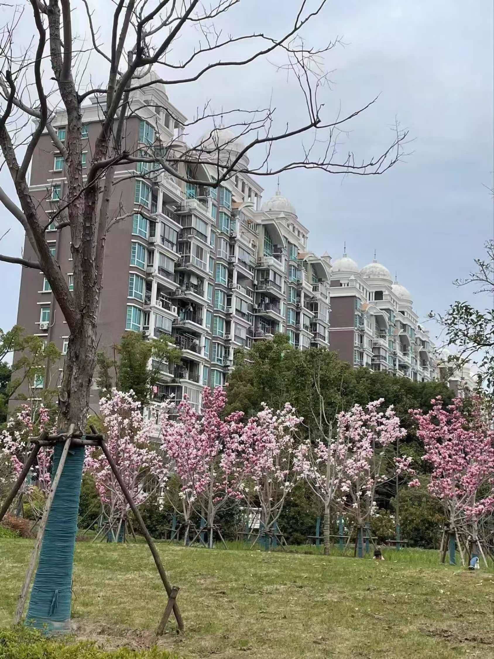 Shanghai Pudong | 锦三角花园_3