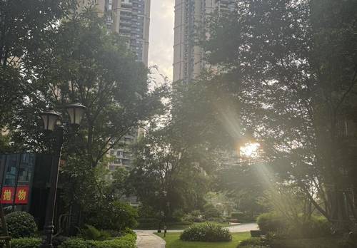 Guanshanhu 恒大滨河左岸-11栋