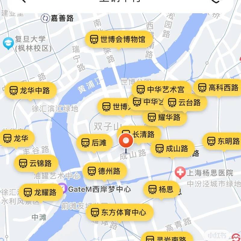 Shanghai Pudong | 上钢十村社区_5