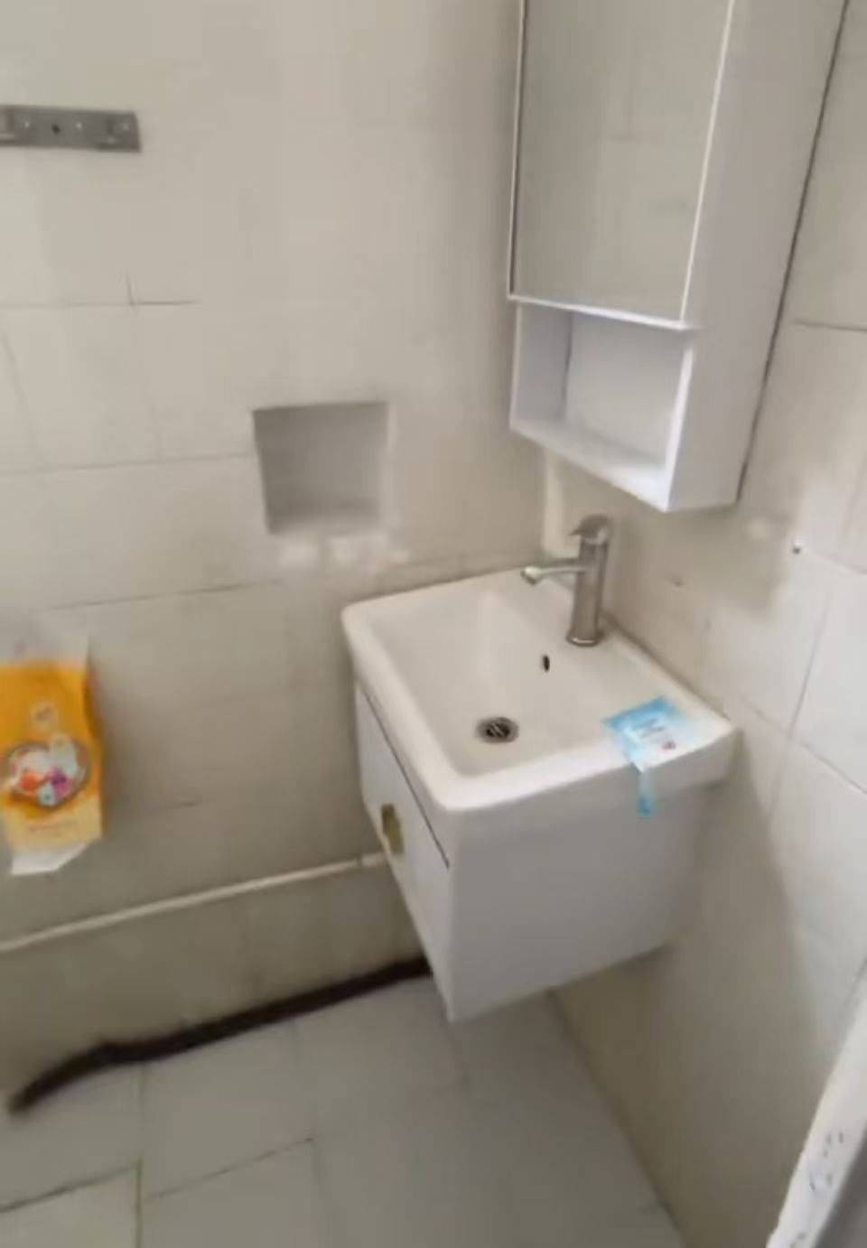 石岐 仁厚里