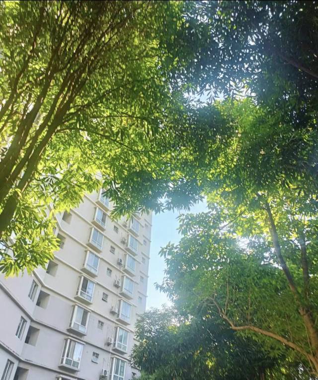 南宁 青秀区 | 竹苑小区_4