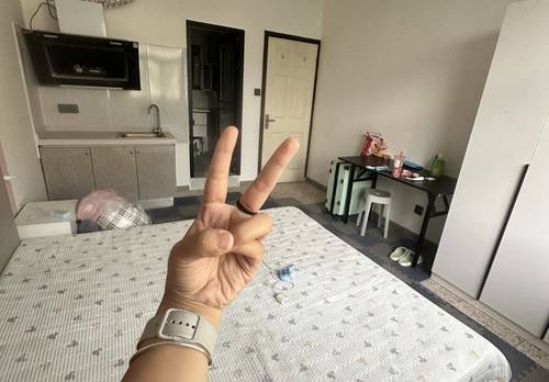 Xiaodian 梧桐小区