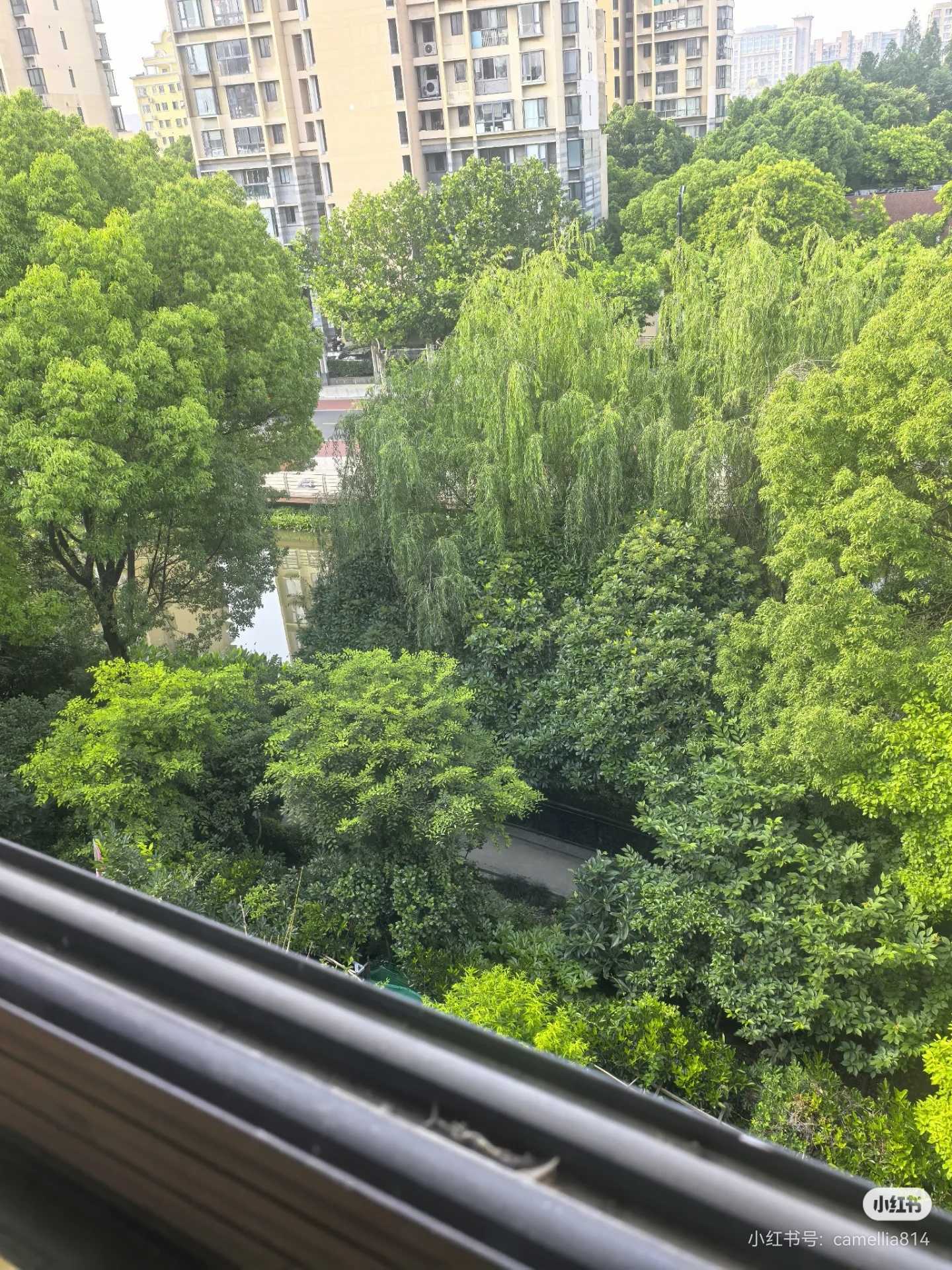 上海 普陀 | 大华·颐和华城紫颐园_7