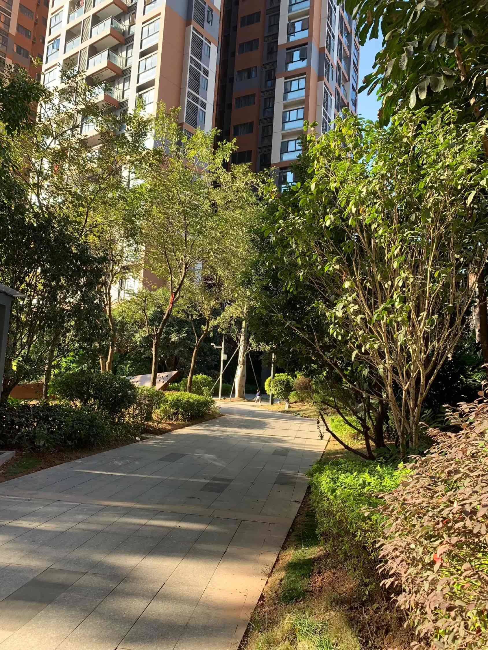 深圳 龙华 | 保利悦都a区-2座_4