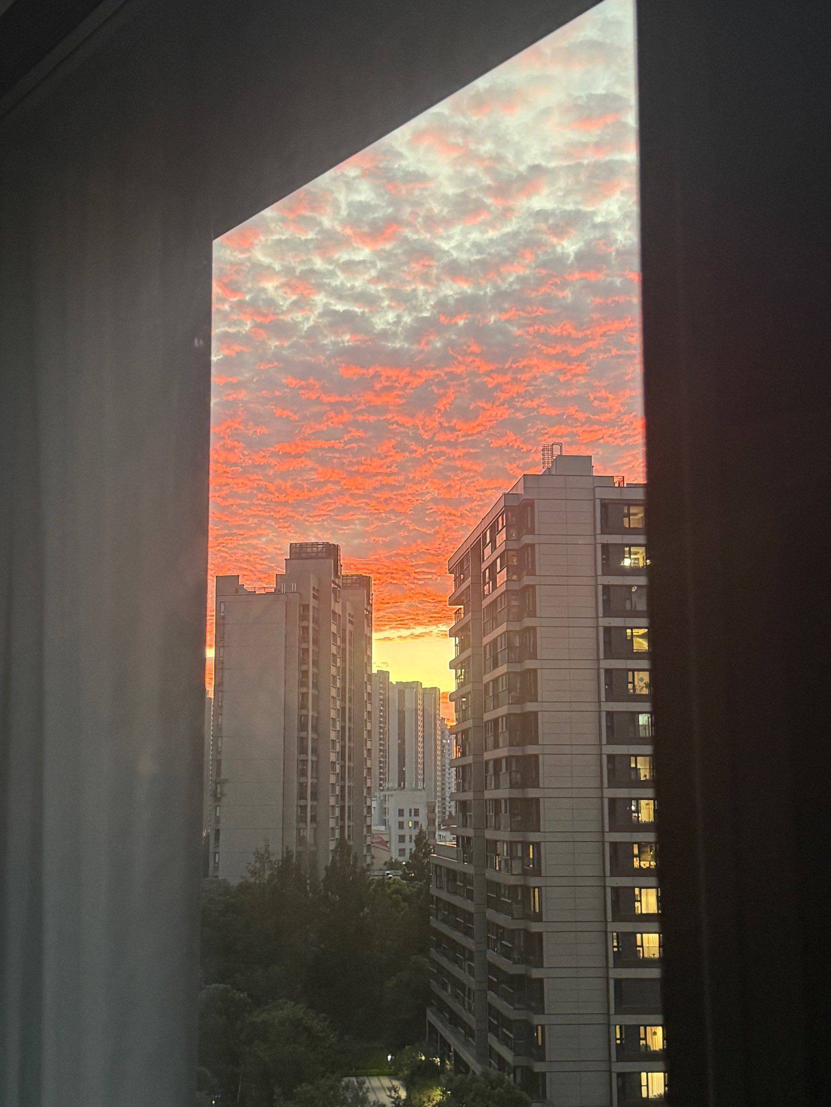 Shanghai Yangpu | 保利·天汇_4