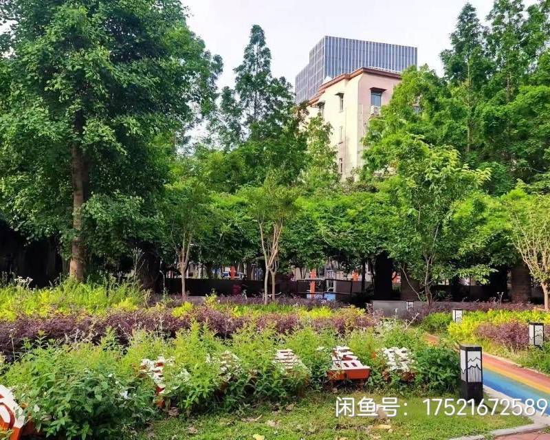 Shanghai Hongkou | 锦苑小区-车站北路625弄54号楼_4