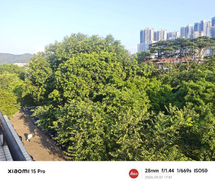 广州 黄埔 | 黄陂新村西区-4号楼_5