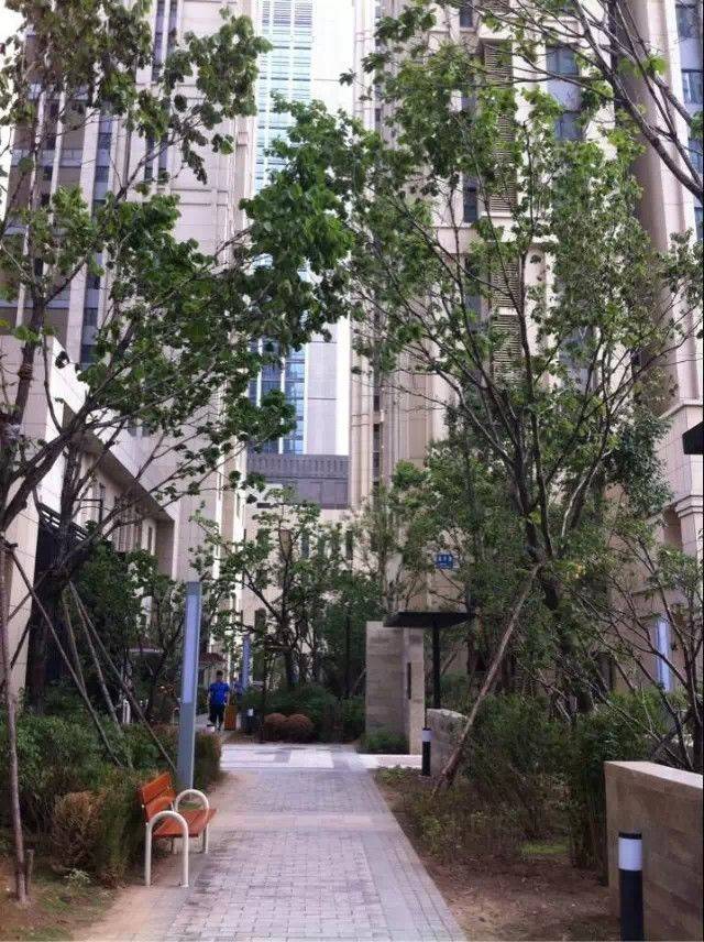 Shenyang Heping | 霍尔寓所_8