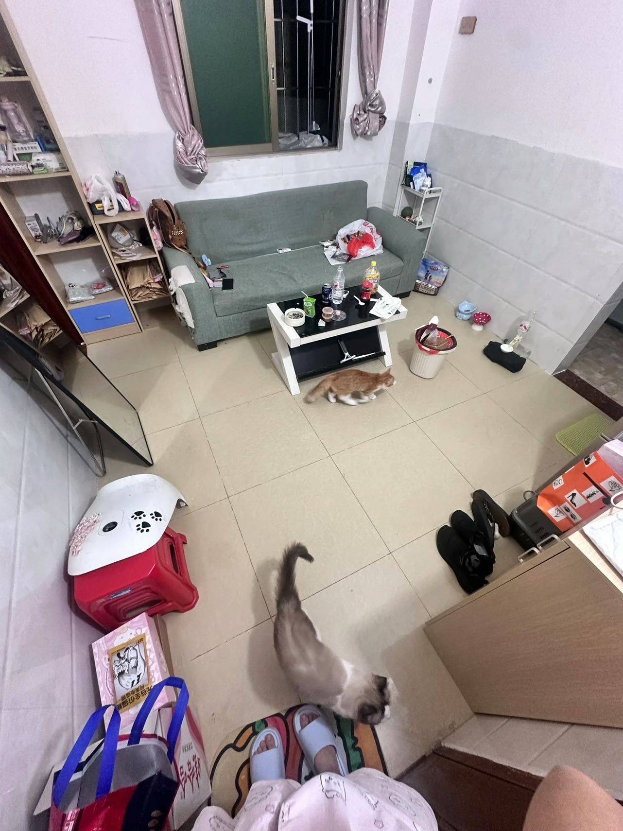 Huadu 平石小区