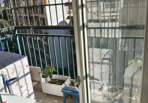 花溪 卓越金商地带小区-C栋