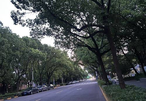 Baoshan 大华梧桐城邦-二期