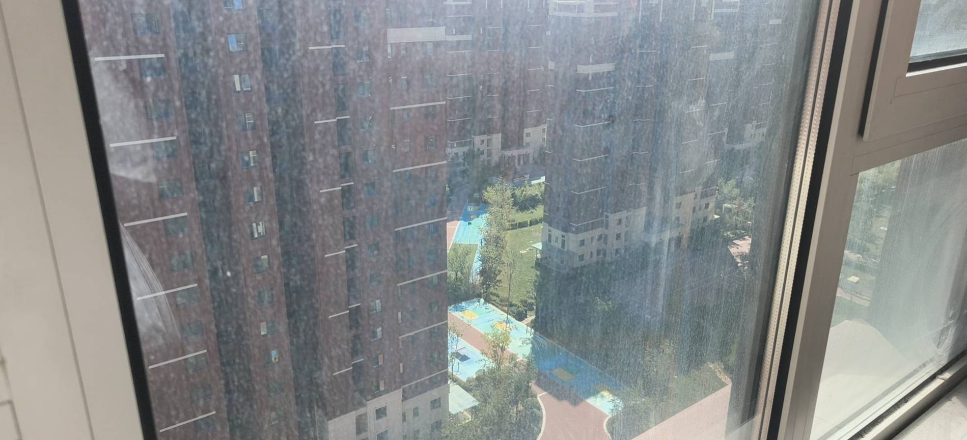 Xiqing 爱情·缤纷里