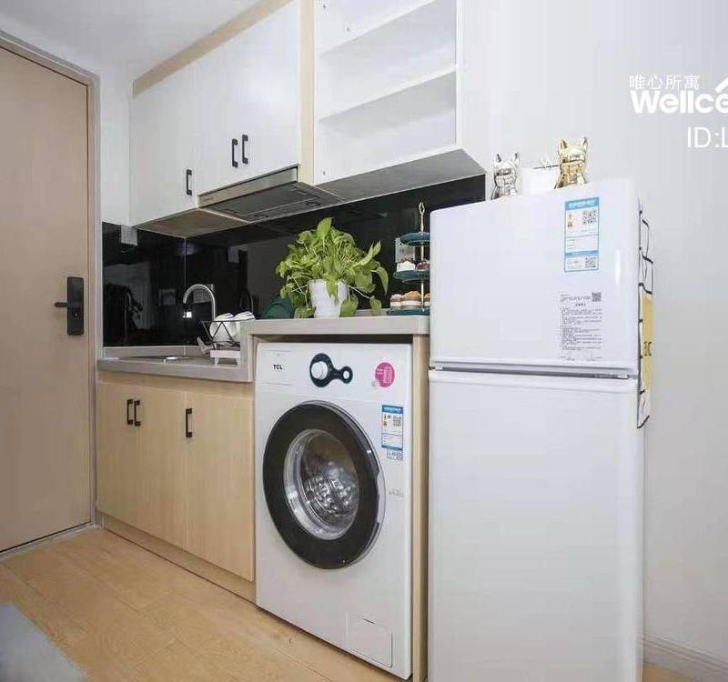 Shanghai Baoshan | 方塘里公寓(美兰湖店B栋)_4