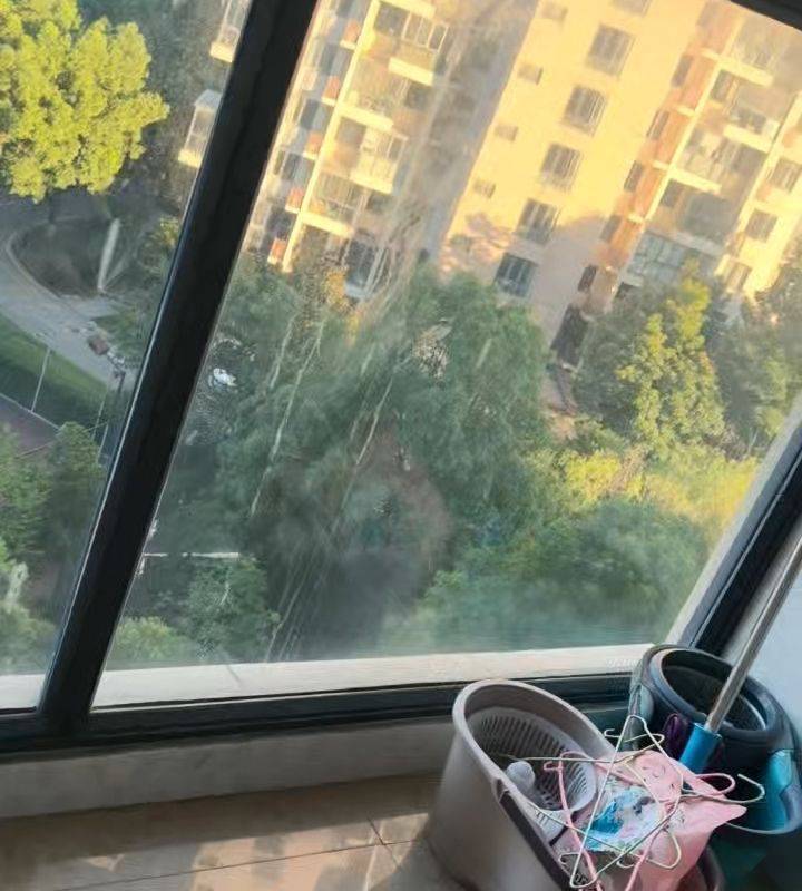 苏州 工业园 | 新未来花园_5
