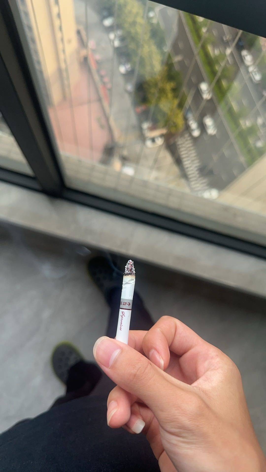 晉江市 知卿公寓