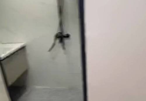 西鄉塘區 天健城西区-21栋