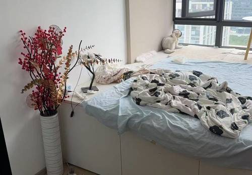 Shuangliu 天府滨江