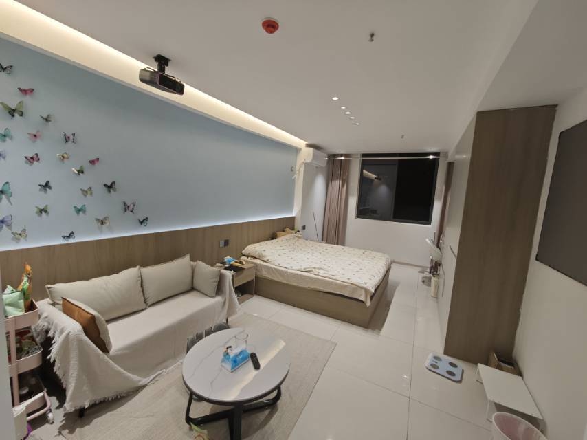 Wuhan Jianghan | 汉鑫公寓(双墩店)_3
