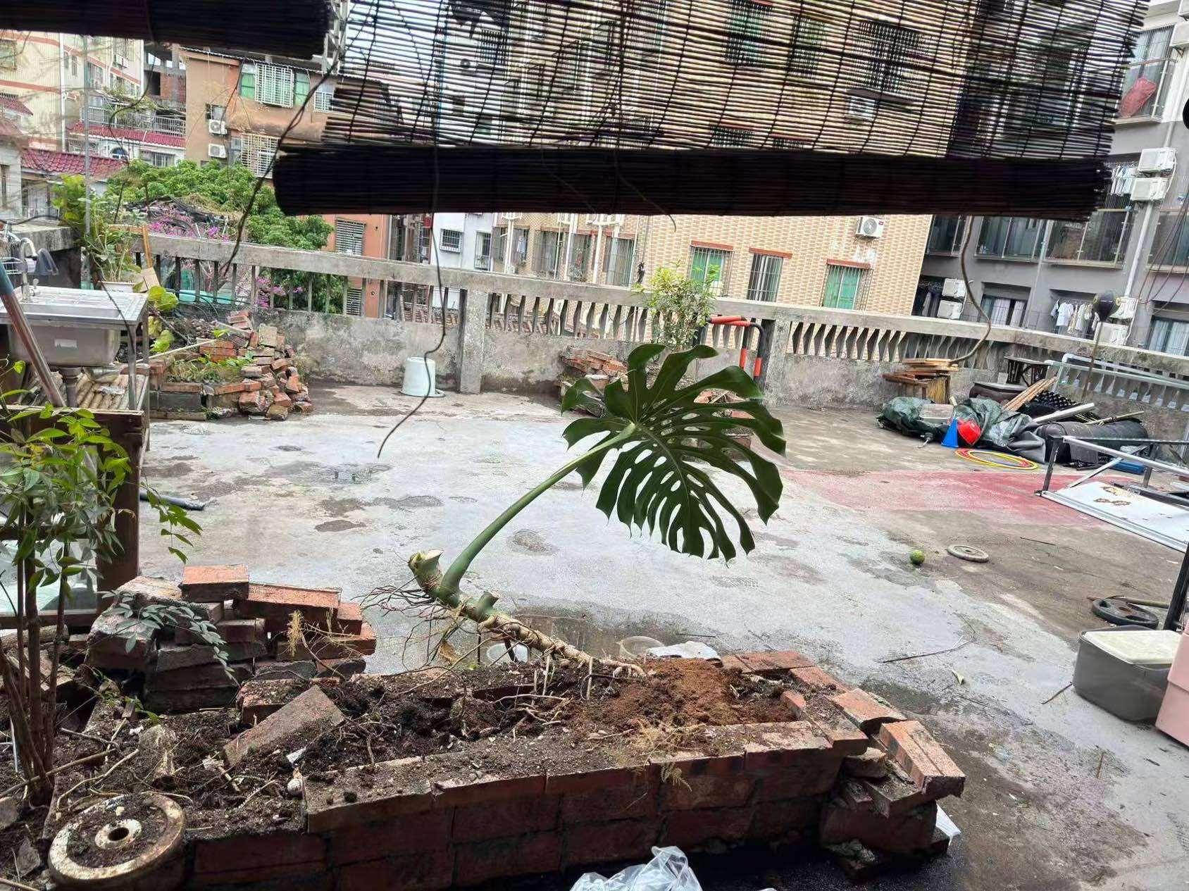 深圳 寶安 | 益安之家_6