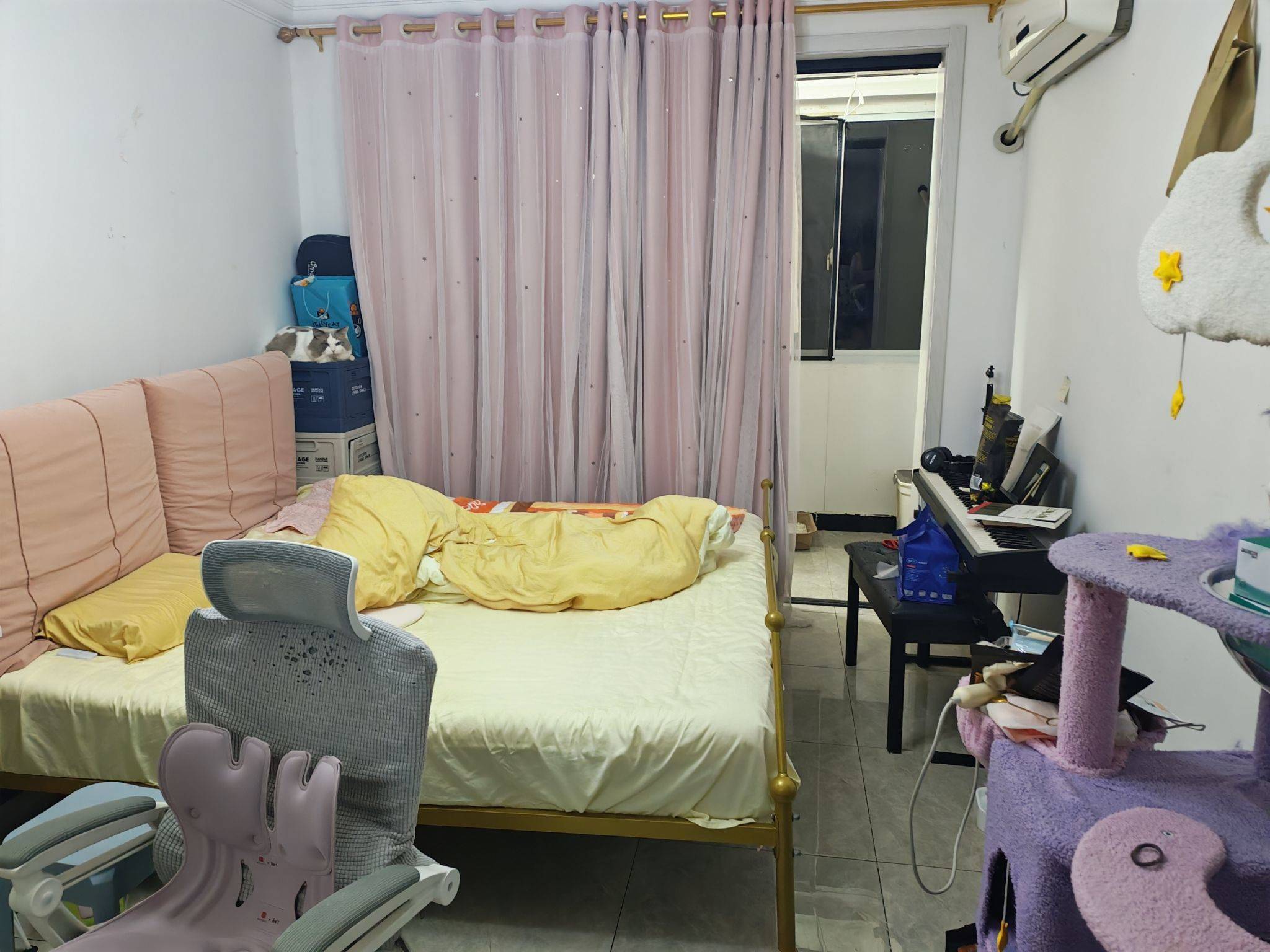 普陀 杜鹃苑