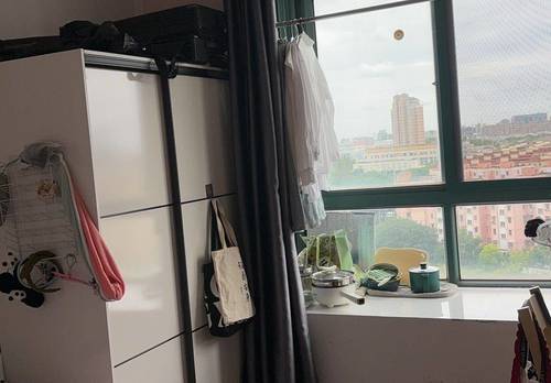 Pudong 丽都成品
