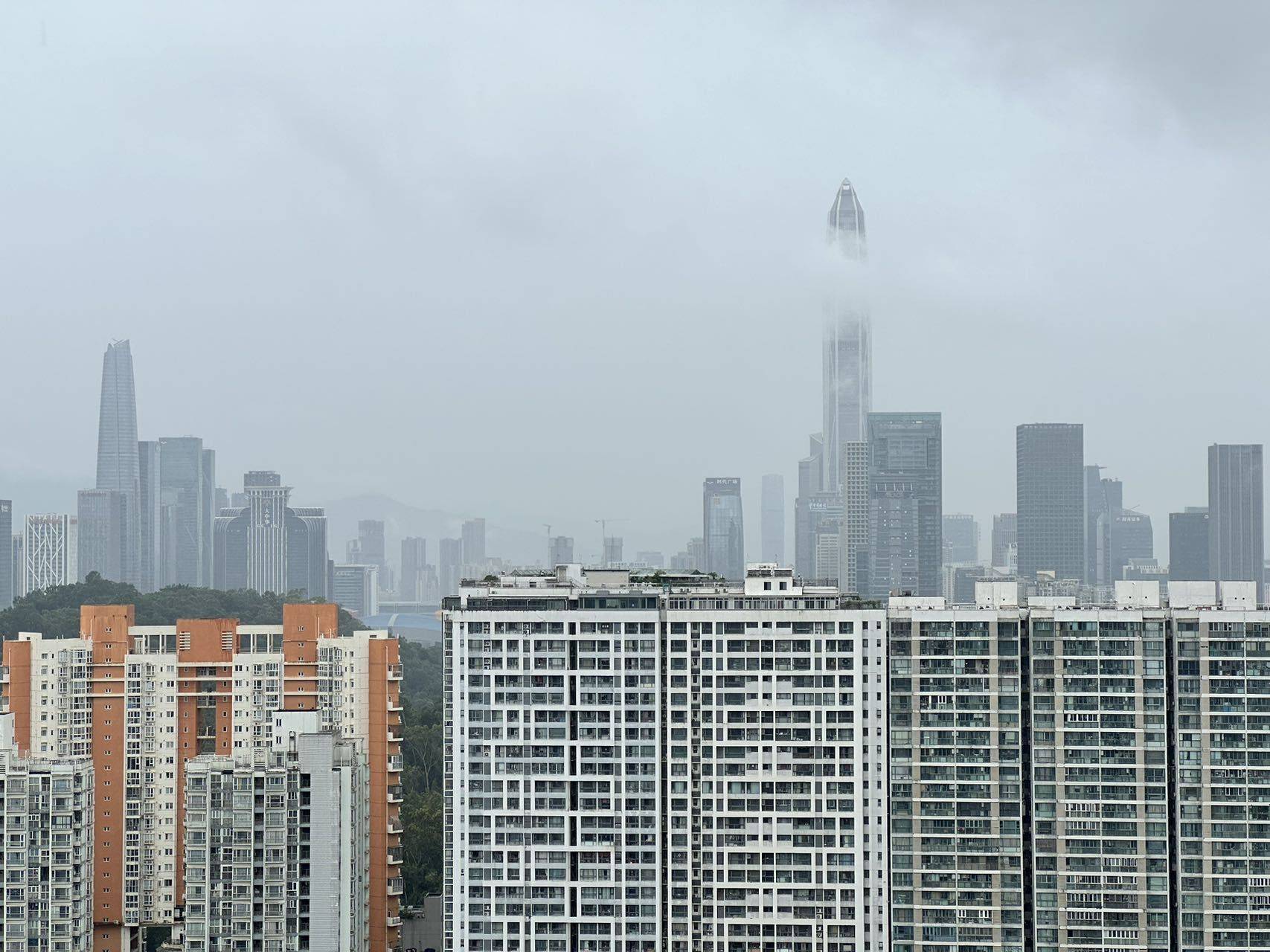 Shenzhen Futian | 京基宸悦府-4栋_6