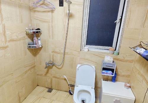成华 蓝光富丽东方