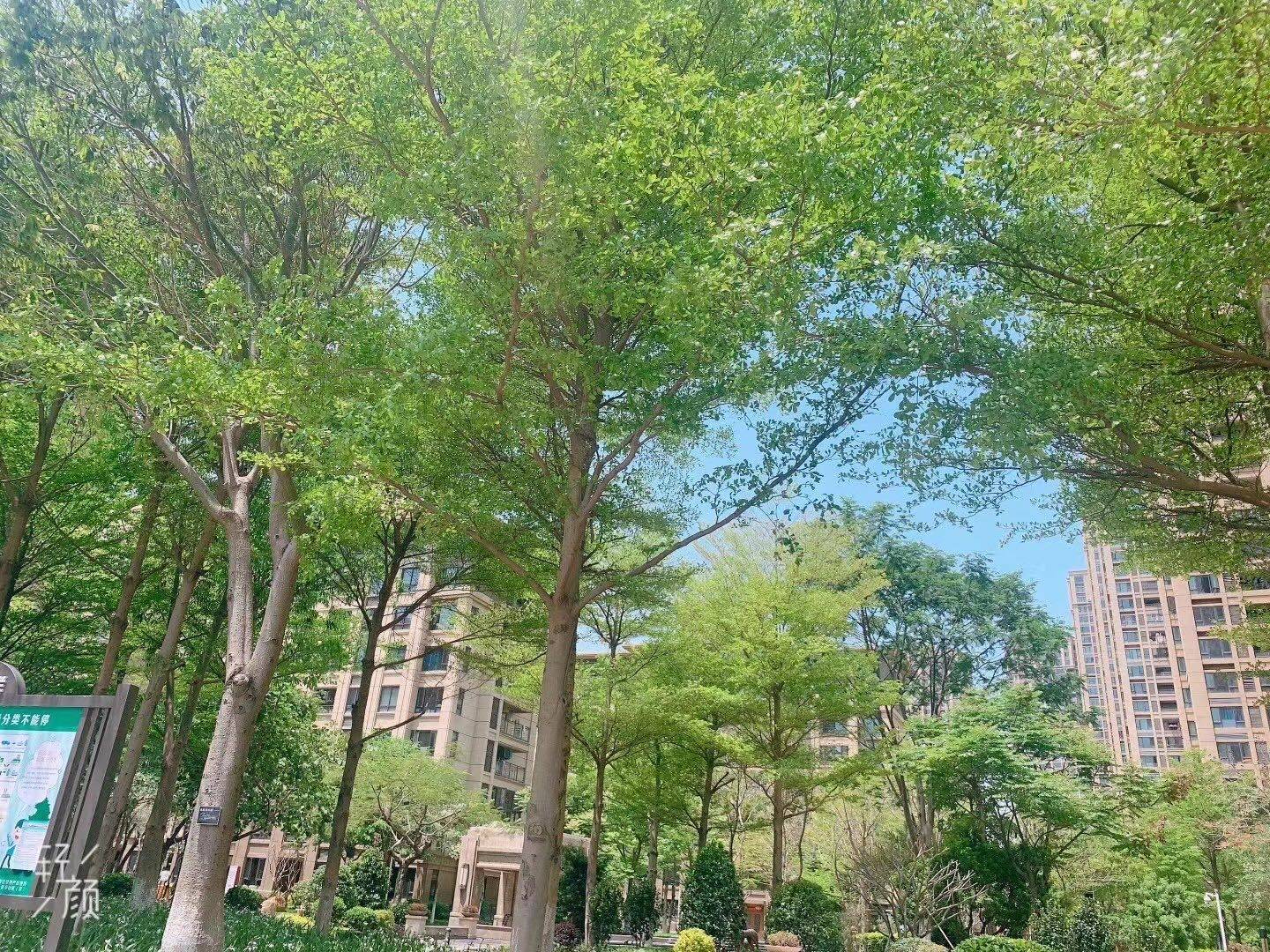厦门 集美 | 中交和美新城3期-11号楼_5