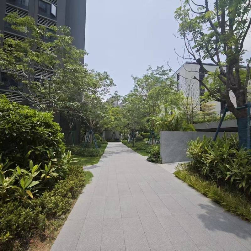 深圳 龍華 | 保利招商龙誉花园_6